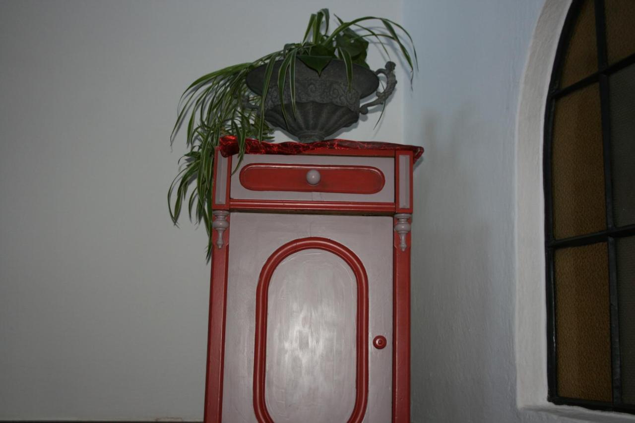 Gasthaus-Pension Schwarzer Graf Windischgarsten Buitenkant foto